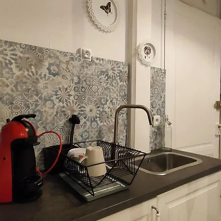 Daire Studio 2/4 Pers Proche Centre Et Telecabine - Fr-1-234-334