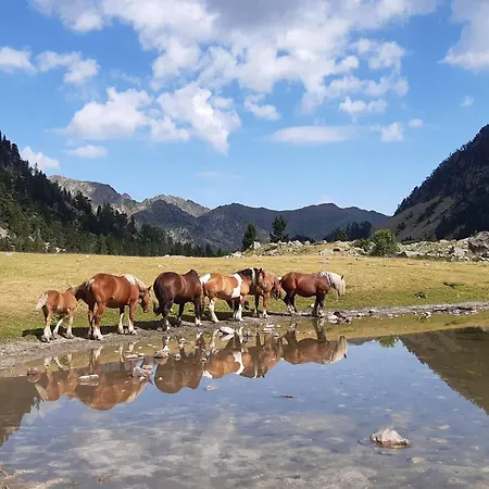 Daire Studio 2/4 Pers Proche Centre Et Telecabine - Fr-1-234-334 *