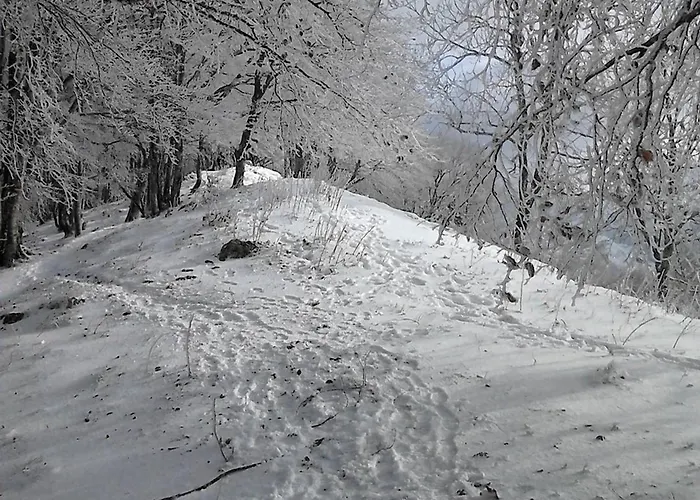 2/4 Pers Proche Centre Et Telecabine - Fr-1-234-334 *